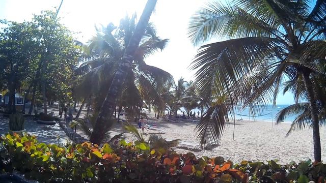 Доминикана, отель Coral Costa Caribe 03/07/2017 смотреть онлайн