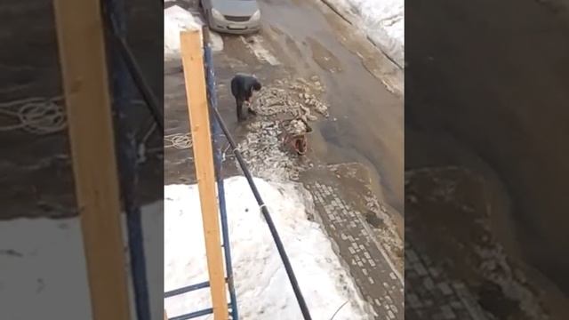 Как надо долбить лёд смотреть онлайн