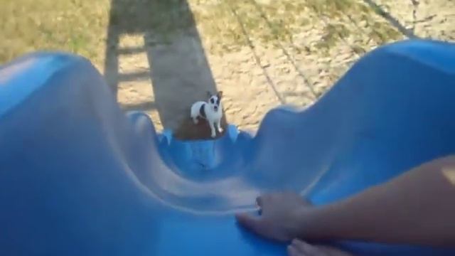 Пёс Фредди Часть 2 смотреть онлайн
