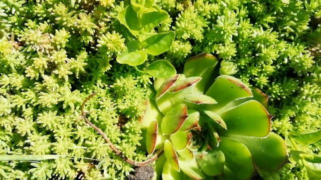 24 июня Дача смотреть онлайн