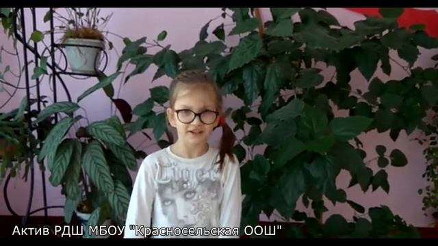 Актив РДШ МБОУ "Красносельская ООШ" смотреть онлайн