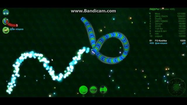 Играем с друзьями в змеек :3 /Wormax.io смотреть онлайн