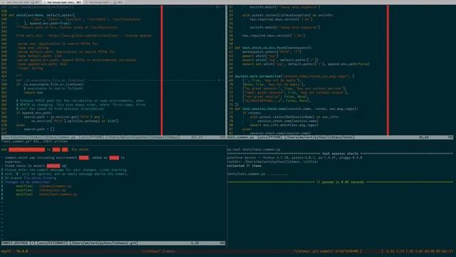 debugging a python program (part 1) - libtmux, adding exception, tests смотреть онлайн