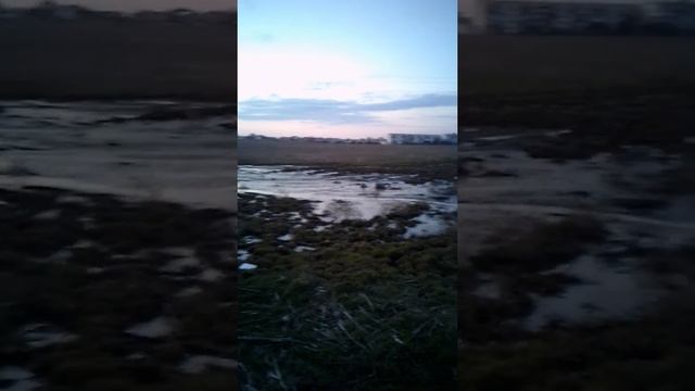 Уютное Крым . Сакский район. смотреть онлайн