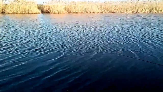 На реке Ея. Краснодарский край. смотреть онлайн