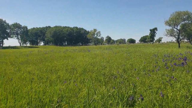 Русские просторы! смотреть онлайн