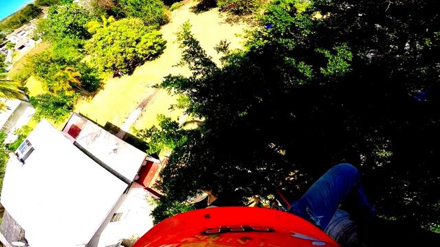 Trimming Royal Palm Tree Spikeless (SRT Style) смотреть онлайн