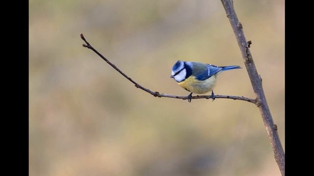 21 настрой_ отмена завышенных ожиданий к себе и окружающему миру