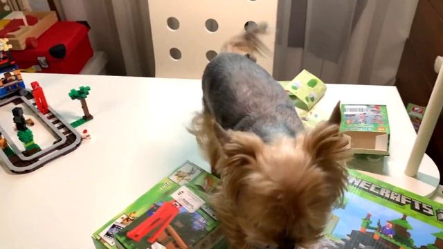 Распаковка нового конструктора Майнкрафт, желтый эндер дракон из майнкрафт. смотреть онлайн