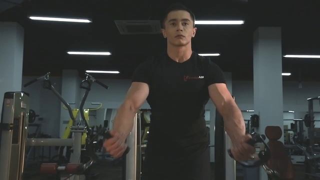 0069 Сведение рук стоя в кроссовере снизу вверх смотреть онлайн