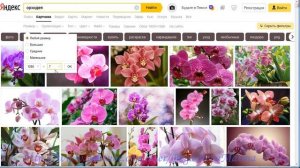 Как сделать или изменить фон слайда в презентации PowerPoint
