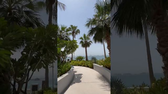 Mesmerizing Walk #dubai #walk #palms смотреть онлайн