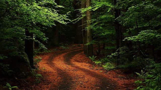 Beautiful wallpaper || Real nature wallpaper || Desktop nature wallpaper || 3D HD wallpaper part-2 смотреть онлайн