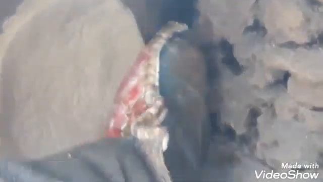 Тандыр наны. смотреть онлайн