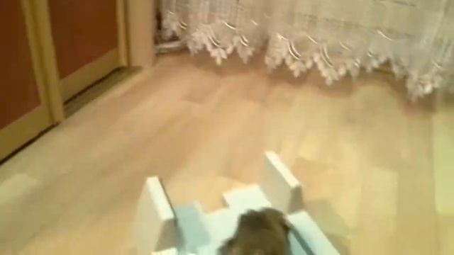Зажигай после ванны смотреть онлайн