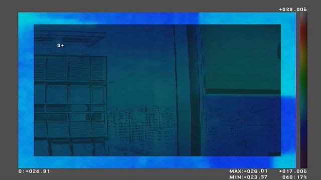 Измерение температуры тела тепловизионной камерой IDIS смотреть онлайн