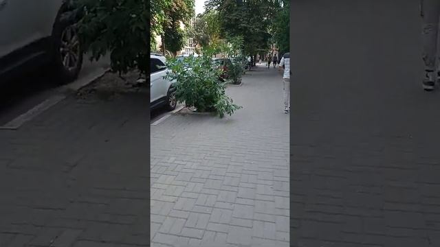 номер в багажнике смотреть онлайн