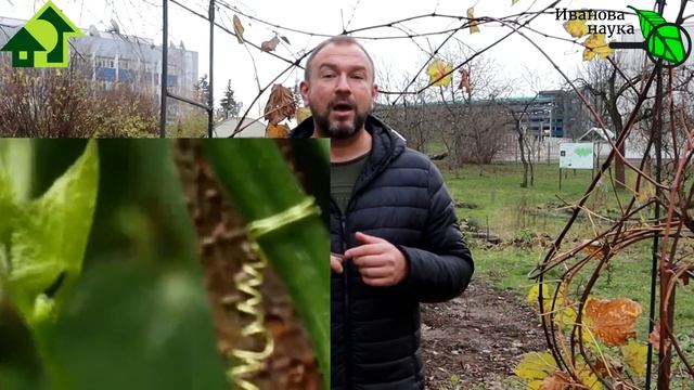 НАУЧНАЯ ПЯТНИЦА. ИЗВРАЩЕНИЯ В САДУ. Это гораздо ИНТЕРЕСНЕЕ, чем некоторые ДУМАЮТ! Они ЕСТЕСТВЕННЫЕ! смотреть онлайн