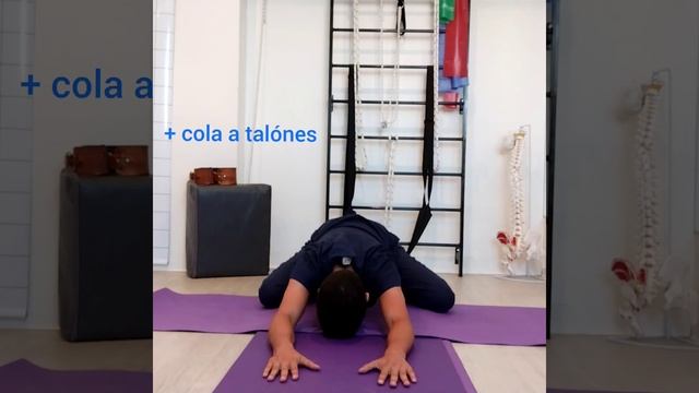 RANA PARA APERTURA DE CADERAS HIP OPENERS смотреть онлайн