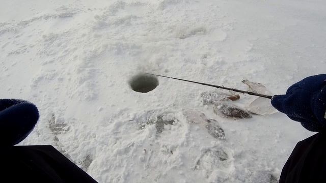 Камбала сломала удочку!Рыбалка в Тавричанке. смотреть онлайн