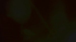 NO LOVE X CHASE (PAW Patrol Edit)