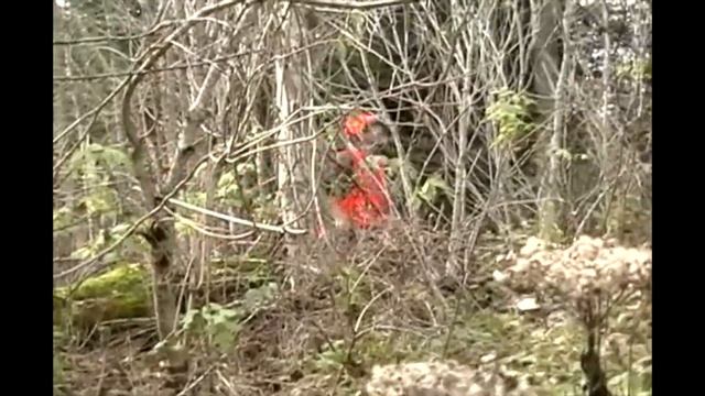 Big Woods Adventures T.V. | Episode 8: Maine Grouse Hunt смотреть онлайн