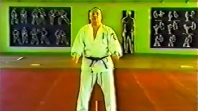 Экзаменационная программа Каратэ Кёкусинкай ИФК, ката, бункай 10- 1 кю. А.И. Танюшкин, В.П. Фомин. смотреть онлайн
