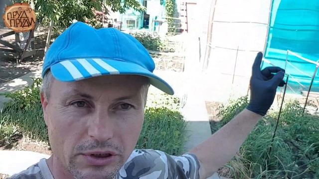 КРЫТЫЙ БАССЕЙН своими руками //БАССЕЙН на даче//Бассейн из тента смотреть онлайн