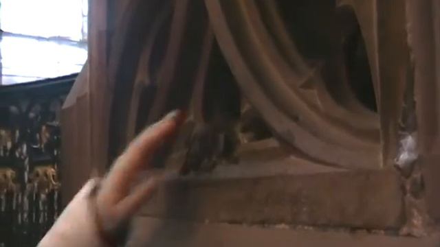 SDV 0162 смотреть онлайн