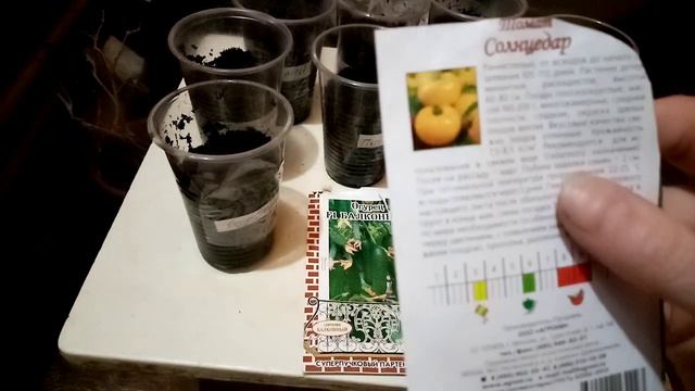 Помидоры черри на подоконнике,на окне (балконе).Лучшие горшечные сорта для дома смотреть онлайн