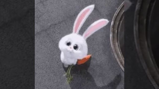 VID-20240109-WA0082.mp4