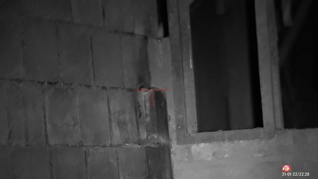 farmyard ratting смотреть онлайн