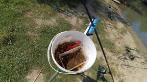 Ловля карпа и амура на макуху и поп-апы. 23.07.2021 Рыбалка в Крыму