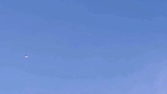 Сокол Сапсан атакует голубей.Peregrine Falcon attacking pigeons смотреть онлайн