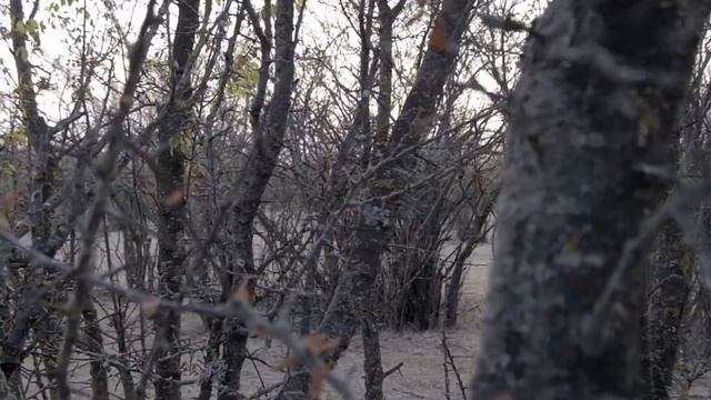 Как воздух. смотреть онлайн