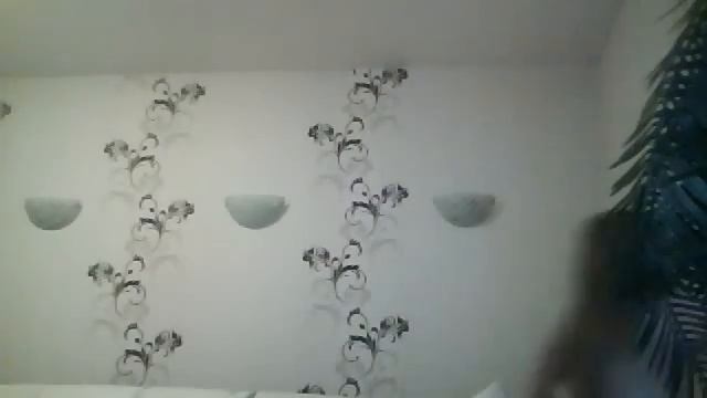 Видео C веб-камеры от  1 сентября 2015 г., 17:24 (UTC)