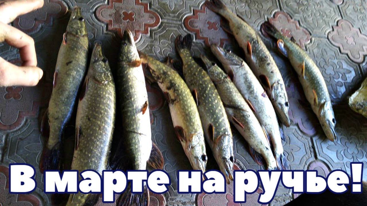 Как ловить щуку в марте апреле на реках и открытых участках воды?Рыбалка на щуку ранней весной смотреть онлайн