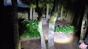 ? Одни ночью на кладбище встретили ведьму? | We met a witch in a cemetery at night?