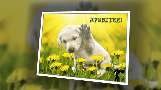 доброе утречко от собакен смотреть онлайн