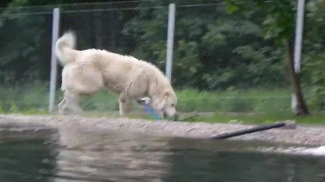 Беркана 1 год и 1 месяц смотреть онлайн
