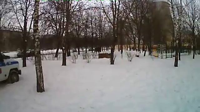 лось и менты.AVI смотреть онлайн