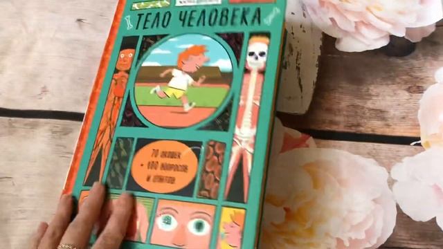 Анатомия для дошкольников. Александр Хизер: Тело человека (энциклопедия с окошками) смотреть онлайн