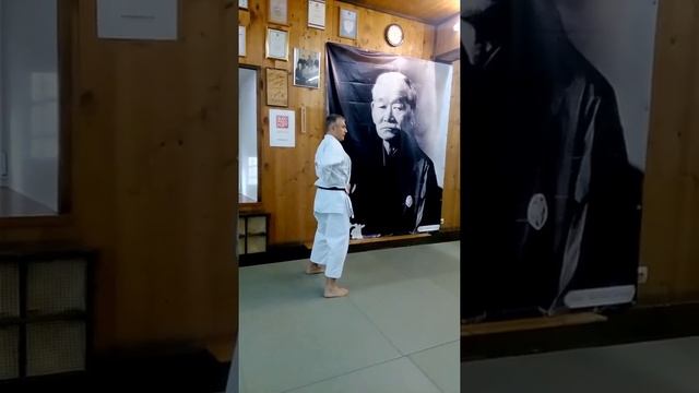 Fudokan karate do / dachi stance смотреть онлайн