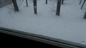 как утеплить балкон своими руками до комнатной температуры