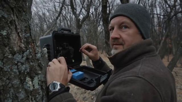 В поисках Дальневосточного Леопарда и Амурского Тигра. смотреть онлайн