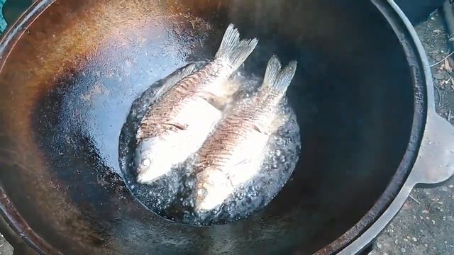 Рецепты Здорового Питания