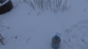 Отличный способ изготовления привады для Лисы!!! Выбираем место для Засидки!!!