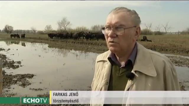 Gazdafórum: Őshonos állattenyésztés Apajpusztán смотреть онлайн