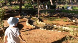 Вот почему больше не хочется бывать в зоопарке!