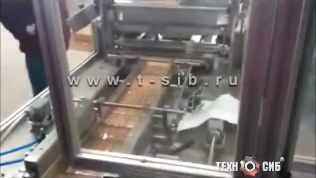 Упаковка конвертом печенья на ребре. Упаковочная машина X-FOLD смотреть онлайн